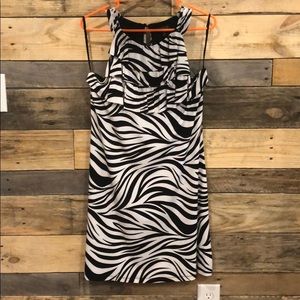 Zebra print dress - Enfocus Studio